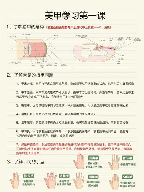 美甲基础知识：揭秘背后的讽刺艺术