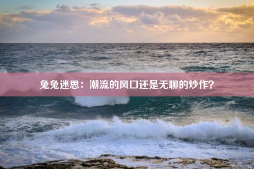 兔兔迷思：潮流的风口还是无聊的炒作？