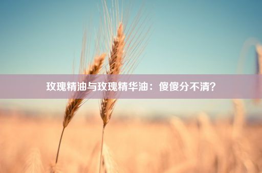 玫瑰精油与玫瑰精华油：傻傻分不清？