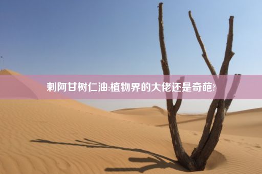 刺阿甘树仁油:植物界的大佬还是奇葩?