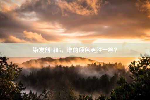 染发剂4和5，谁的颜色更胜一筹？