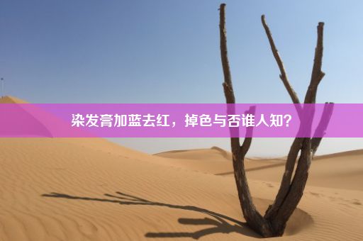 染发膏加蓝去红，掉色与否谁人知？