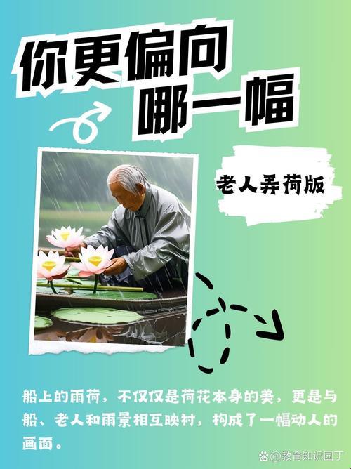 《荷塘韵事：千古风韵谁人懂，老人船头戏雨荷》