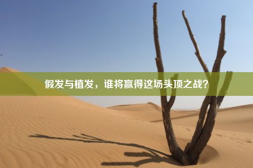 假发与植发，谁将赢得这场头顶之战？