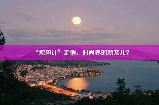 “炖肉计”走俏，时尚界的新宠儿？