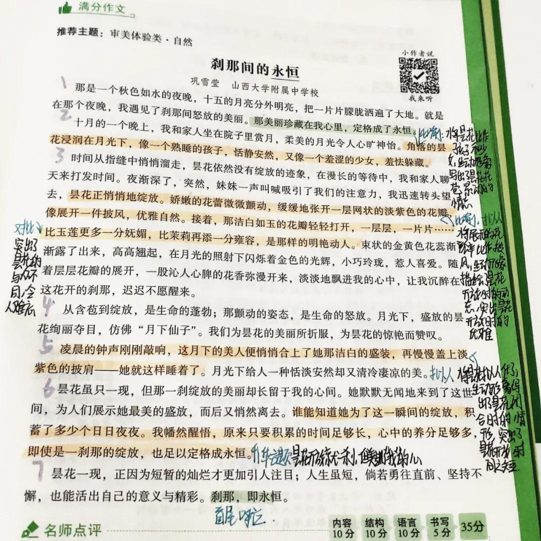 《时尚狂潮：雌能量日夜狂飙的奇观》