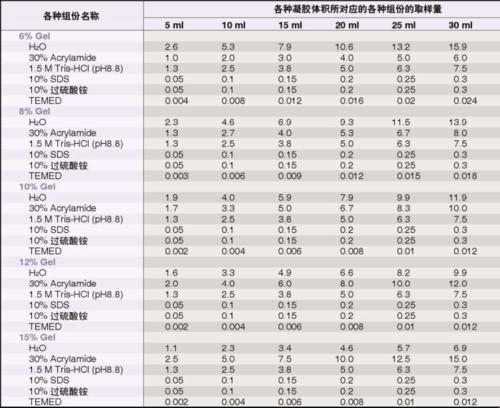 时尚界的神奇配方：人与动物胶的匠心独运