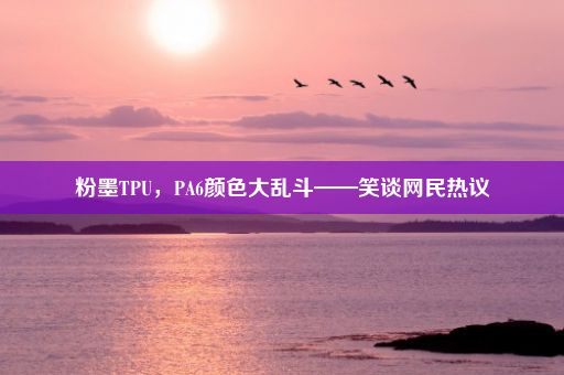 粉墨TPU，PA6颜色大乱斗——笑谈网民热议