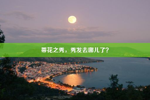 蒂花之秀，秀发去哪儿了？